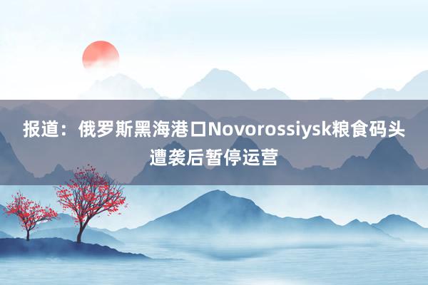 报道：俄罗斯黑海港口Novorossiysk粮食码头遭袭后暂停运营