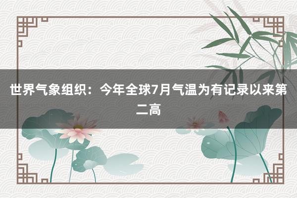 世界气象组织：今年全球7月气温为有记录以来第二高