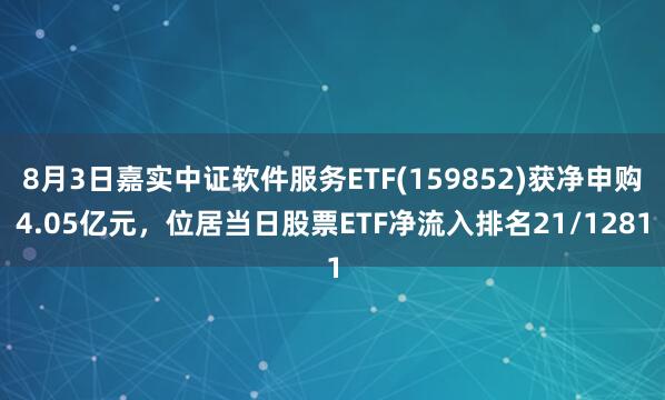 8月3日嘉实中证软件服务ETF(159852)获净申购4.05亿元，位居当日股票ETF净流入排名21/1281