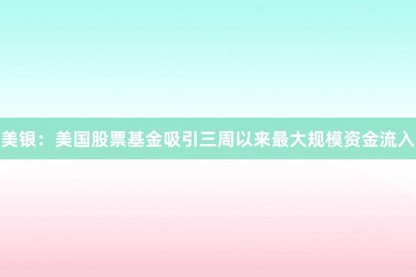 美银：美国股票基金吸引三周以来最大规模资金流入