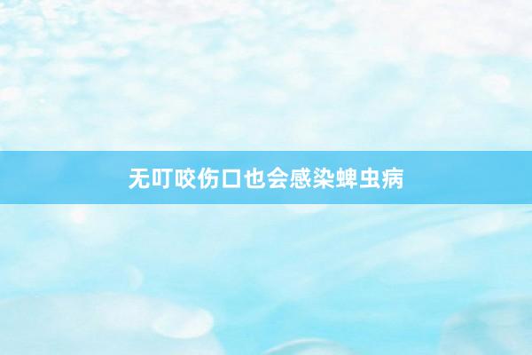 无叮咬伤口也会感染蜱虫病