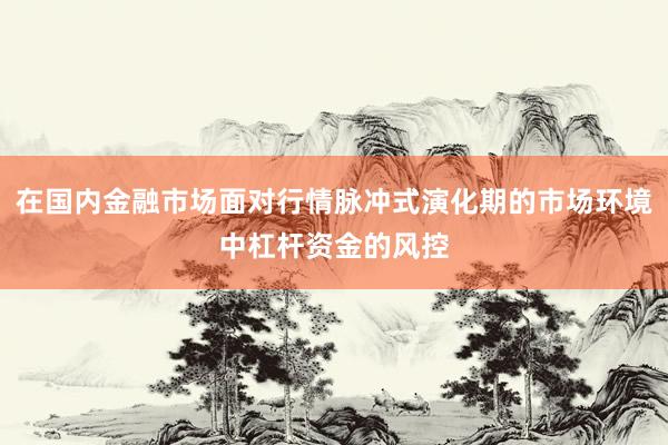 在国内金融市场面对行情脉冲式演化期的市场环境中杠杆资金的风控