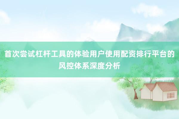 首次尝试杠杆工具的体验用户使用配资排行平台的风控体系深度分析