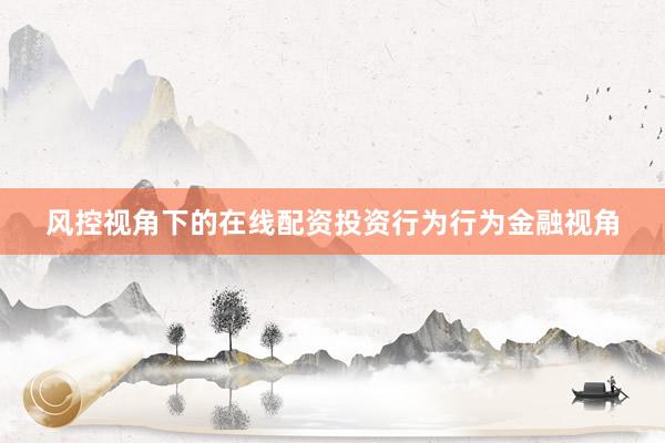 风控视角下的在线配资投资行为行为金融视角
