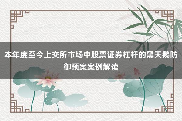 本年度至今上交所市场中股票证券杠杆的黑天鹅防御预案案例解读