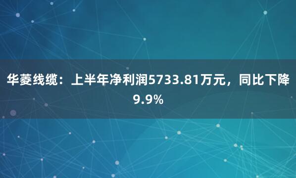 华菱线缆：上半年净利润5733.81万元，同比下降9.9%