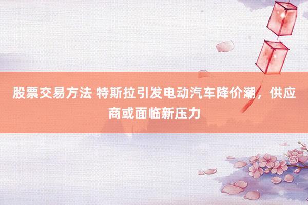 股票交易方法 特斯拉引发电动汽车降价潮，供应商或面临新压力