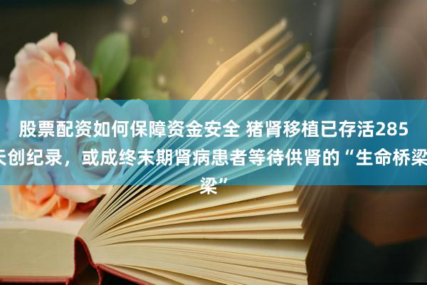 股票配资如何保障资金安全 猪肾移植已存活285天创纪录，或成终末期肾病患者等待供肾的“生命桥梁”