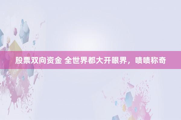 股票双向资金 全世界都大开眼界，啧啧称奇