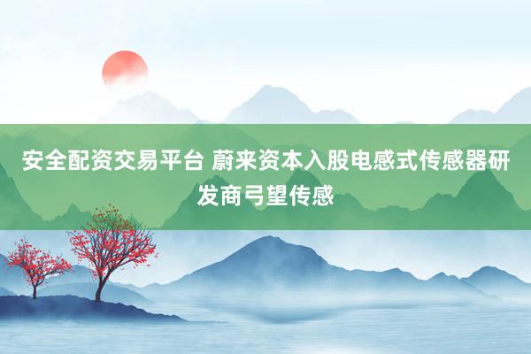 安全配资交易平台 蔚来资本入股电感式传感器研发商弓望传感