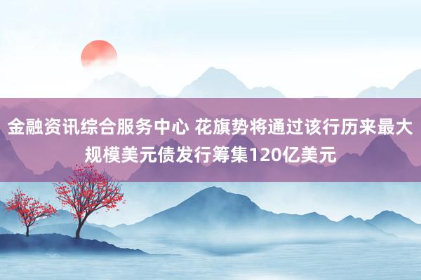 金融资讯综合服务中心 花旗势将通过该行历来最大规模美元债发行筹集120亿美元