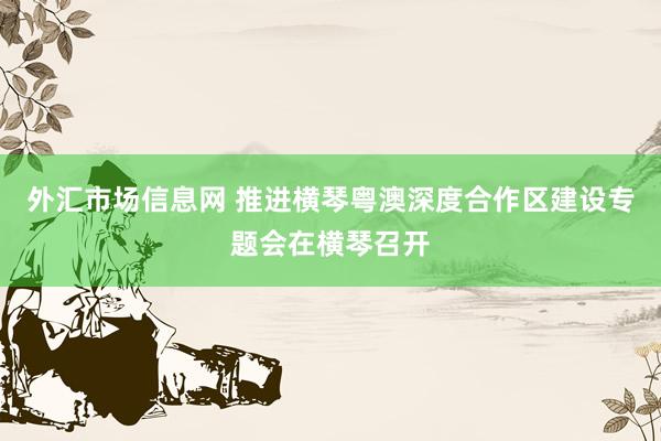 外汇市场信息网 推进横琴粤澳深度合作区建设专题会在横琴召开