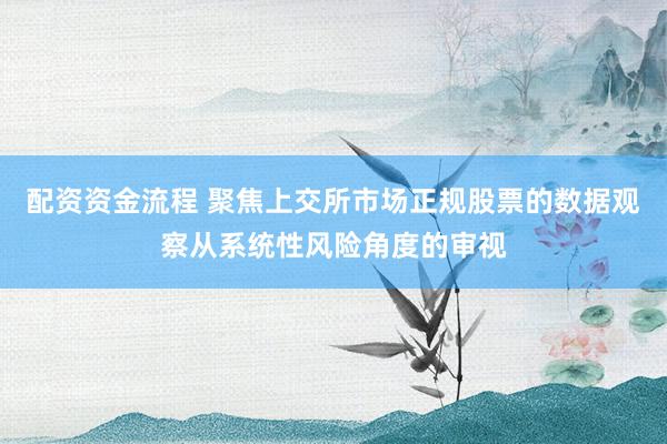 配资资金流程 聚焦上交所市场正规股票的数据观察从系统性风险角度的审视