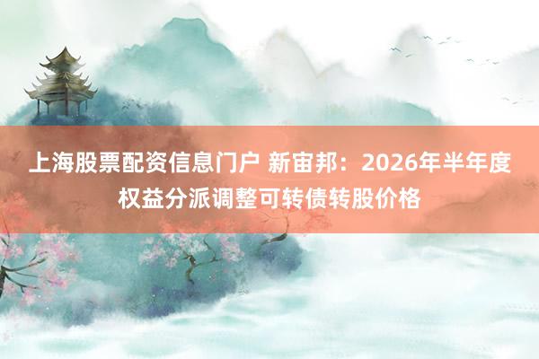 上海股票配资信息门户 新宙邦：2026年半年度权益分派调整可转债转股价格