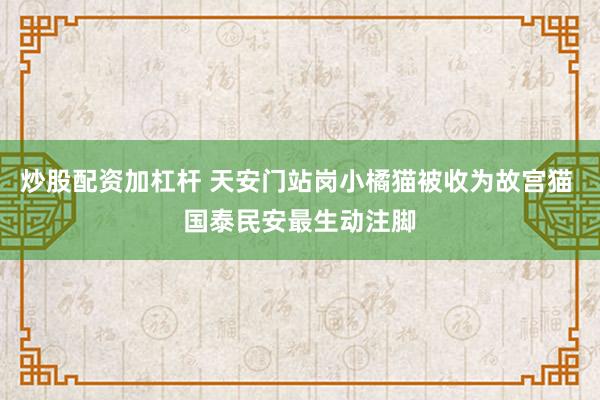 炒股配资加杠杆 天安门站岗小橘猫被收为故宫猫 国泰民安最生动注脚