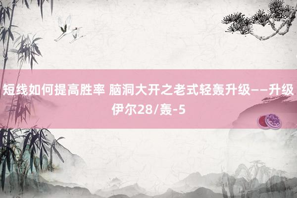 短线如何提高胜率 脑洞大开之老式轻轰升级——升级伊尔28/轰-5
